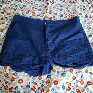 Francesca's Miami blue shorts
